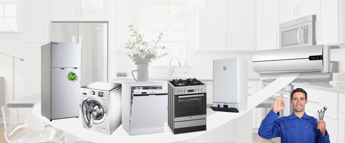 Kaynaşlı Gorenje Servisi